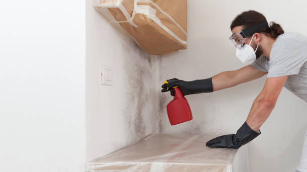 Professional Mold Cleanup technician working in Roslyn Heights, NY